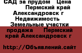  САД за прудом › Цена ­ 45 000 - Пермский край, Александровск г. Недвижимость » Земельные участки продажа   . Пермский край,Александровск г.